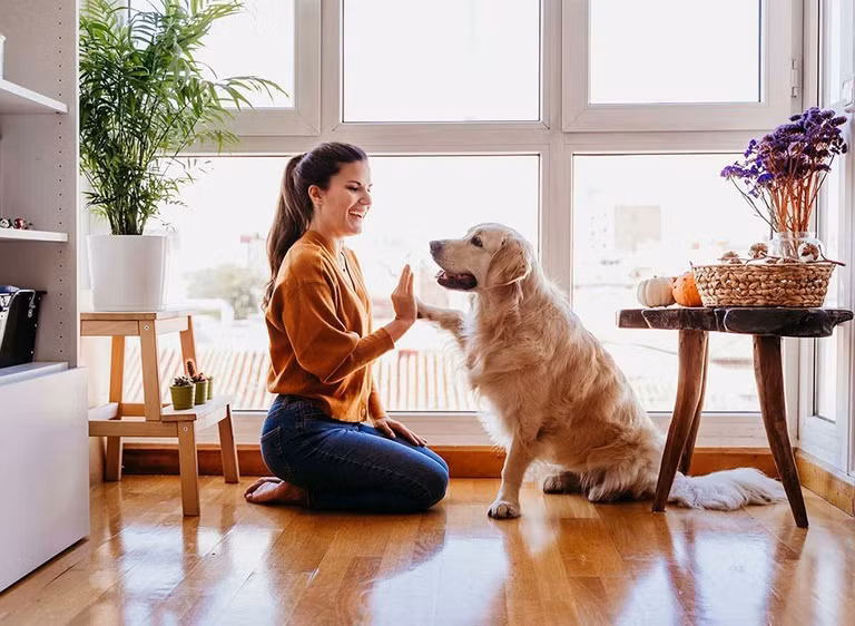 3 thú cưng nên nuôi trong nhà giúp rước thêm tài lộc, hóa giải vận đen ảnh 2
