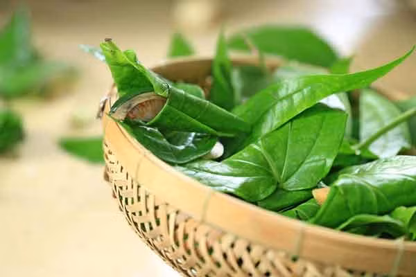 Bí quyết dọn 