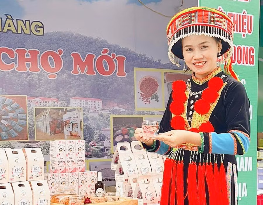 Giảm nghèo nhờ sản xuất trà hoa hồng theo hướng hữu cơ.