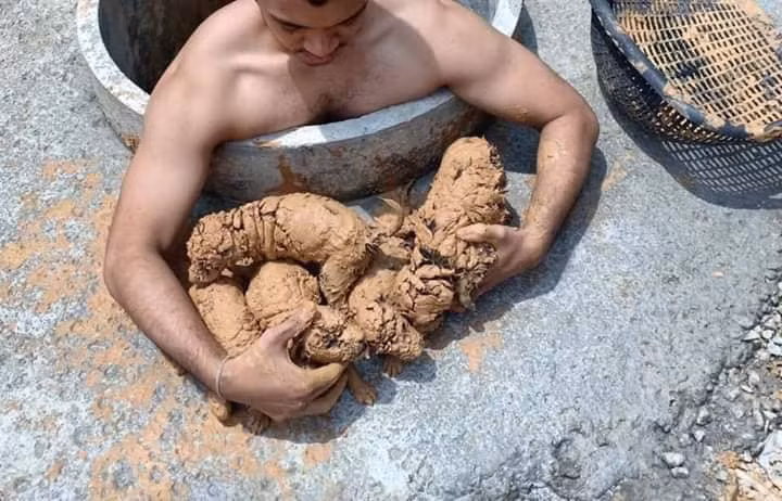 Nhìn qua đừng tưởng