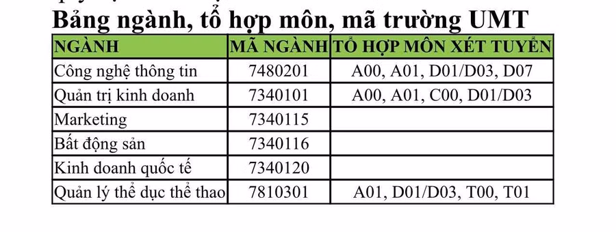 Các ngành đào tạo của UMT Các ngành đào tạo của UMT