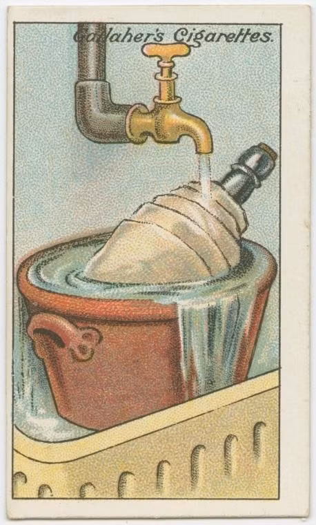 meo-vat-huu-ich-7