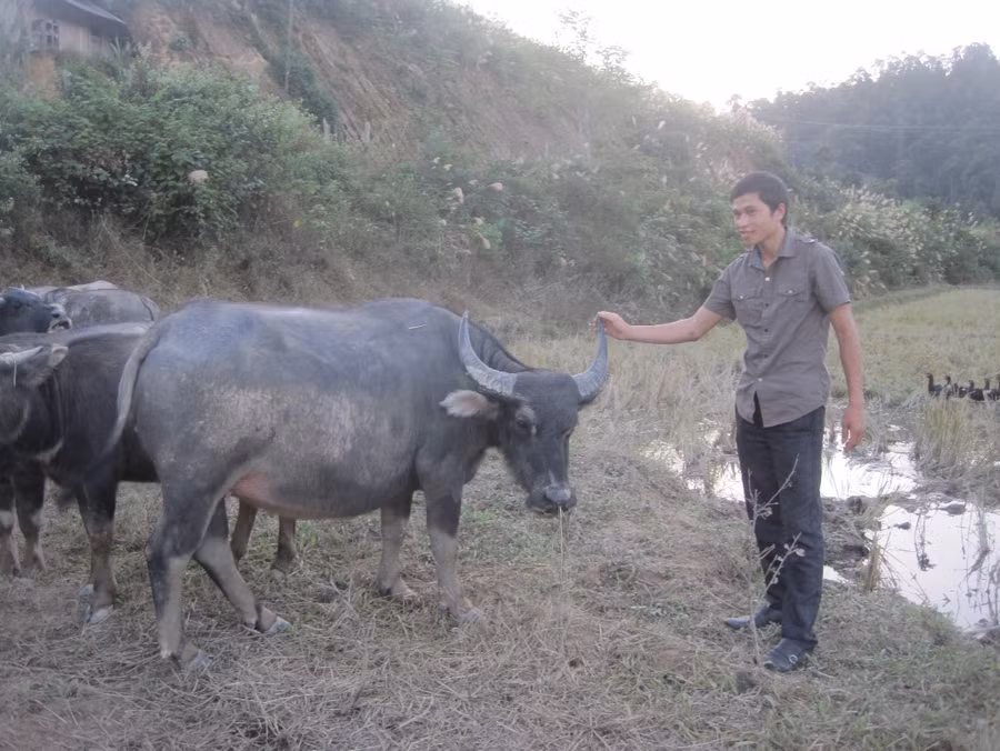 Tri thức trẻ tham gia phát triển kinh tế xã hội ảnh 1 Tri thức trẻ tham gia phát triển kinh tế xã hội ảnh 1