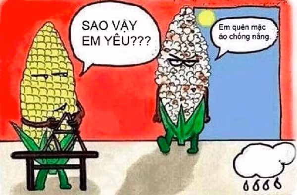 Muốn biết mùa này Sài Gòn nóng thế nào, hãy xem loạt ảnh này