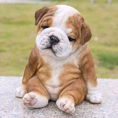 Người buồn cảnh có vui đâu bao giờ.