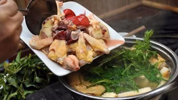Hướng dẫn nấu lẩu gà ngải cứu thơm ngon