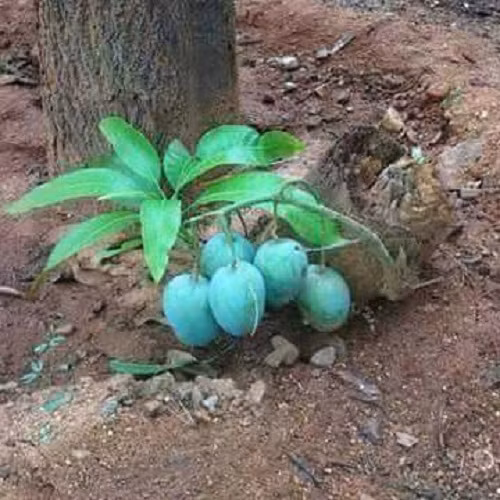 Không từ bỏ. Không từ bỏ.
