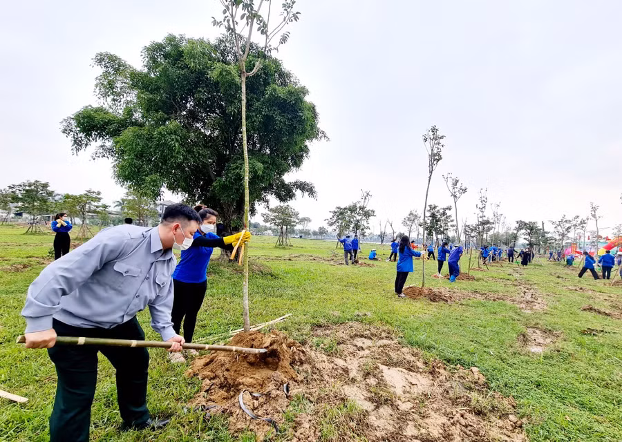Không khí nô lực trồng cây tại Công viên trung tâm thành phố Hà Tĩnh.