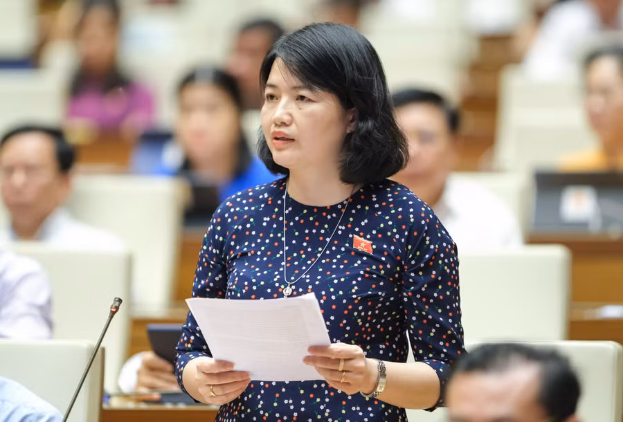 Đại biểu Nguyễn Thị Mai Thoa - Đoàn ĐBQH Hải Dương.