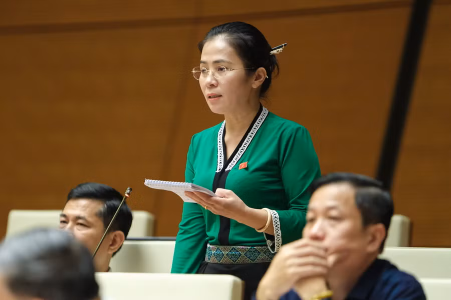 Đại biểu Võ Thị Minh Sinh – Đoàn ĐBQH tỉnh Nghệ An.