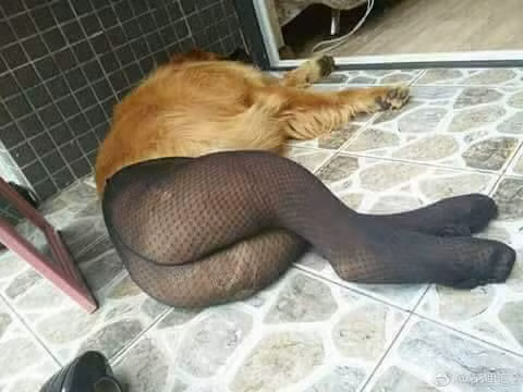 Đừng nhìn nhầm, không phải bạn đang chứng kiến một vụ sàm sỡ vòng 3 công khai đâu! - Ảnh 4.
