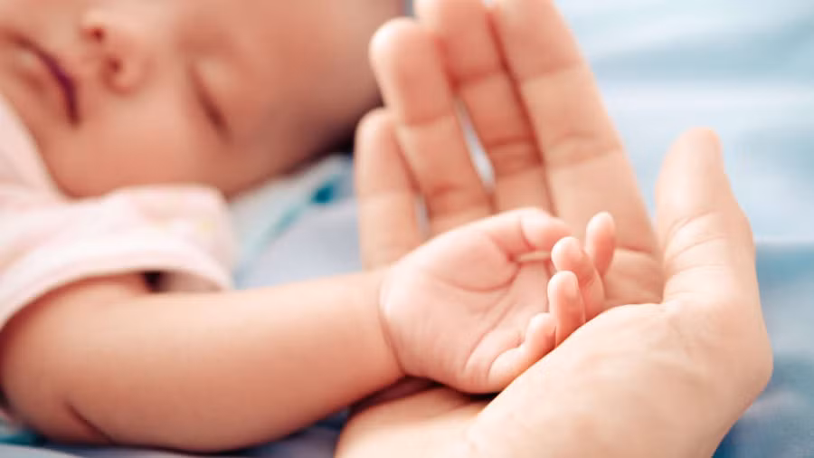 Ngày càng nhiều người chọn sinh mổ và điều này đang gây một hiệu ứng tiến hóa “lạ“