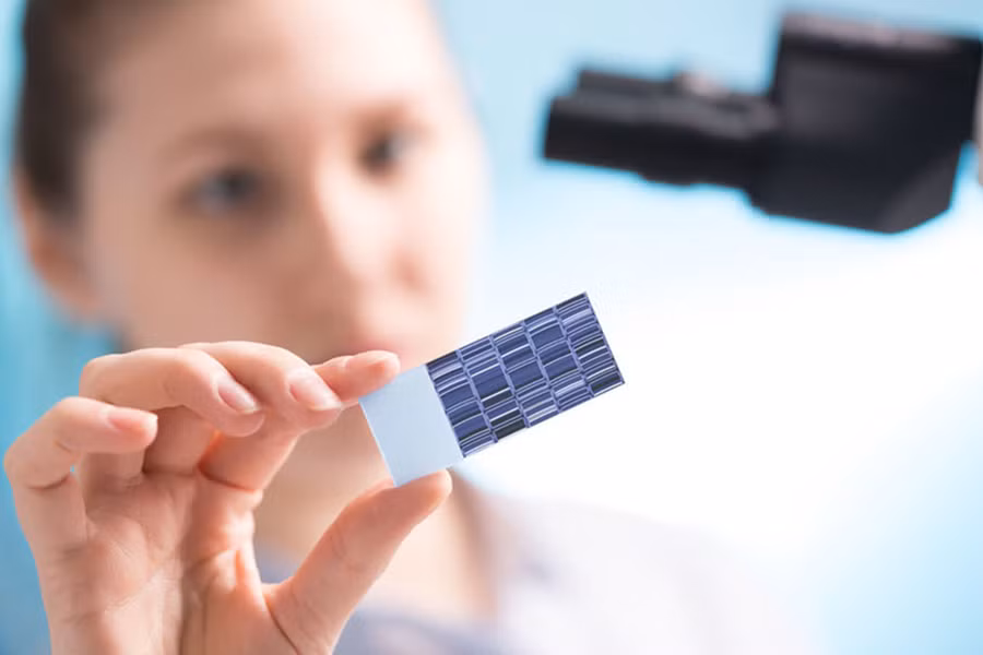Ghi dữ liệu lên DNA