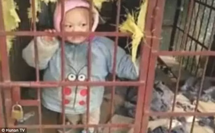 Bé 3 tuổi bị mẹ nhốt trong chuồng cọp gây phẫn nộ.