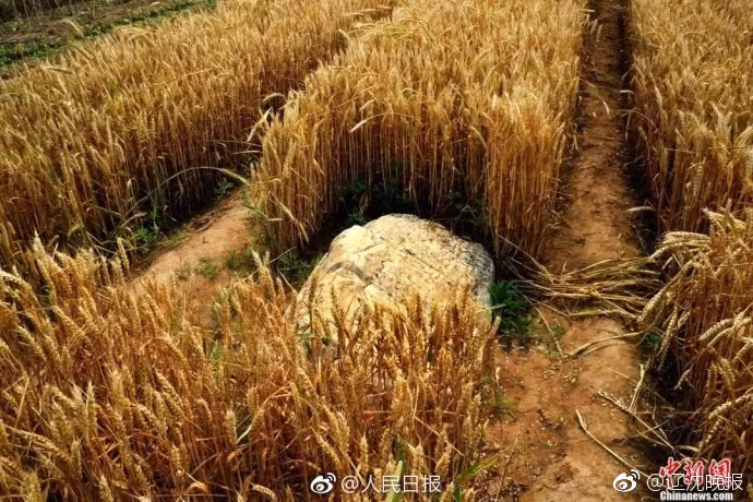 ky la ngon nui chi buoc mot chan len den dinh o trung quoc hinh anh 3
