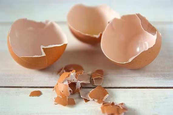 Vỏ trứng có thể dùng làm thành những chế phẩm rất hữu ích