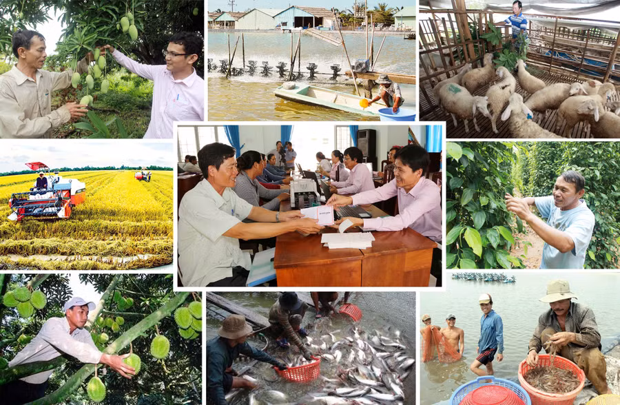 Nhờ những chính sách an sinh xã hội của Đảng, Nhà nước và Chính phủ mà nhiều hộ nông dân nghèo, vùng đồng bào dân tộc thiểu số đã dần thoát nghèo và vươn lên