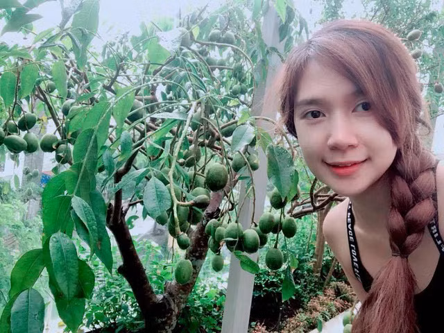 Trái ngọt sai trĩu trên sân thượng biệt thự nhà Lý Hải - Minh Hà - Ảnh 3.