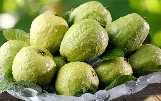 Nhưng người có dấu hiệu này nhất định phải kiêng ổi dù có thèm đến mấy - Ảnh 1.