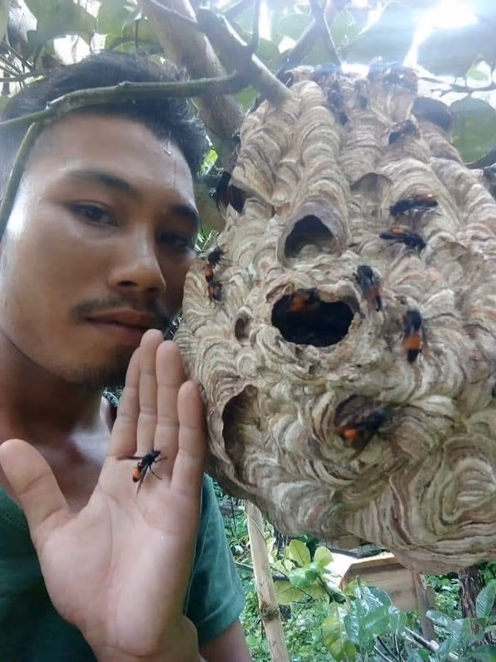 Dự đoán cái kết đi