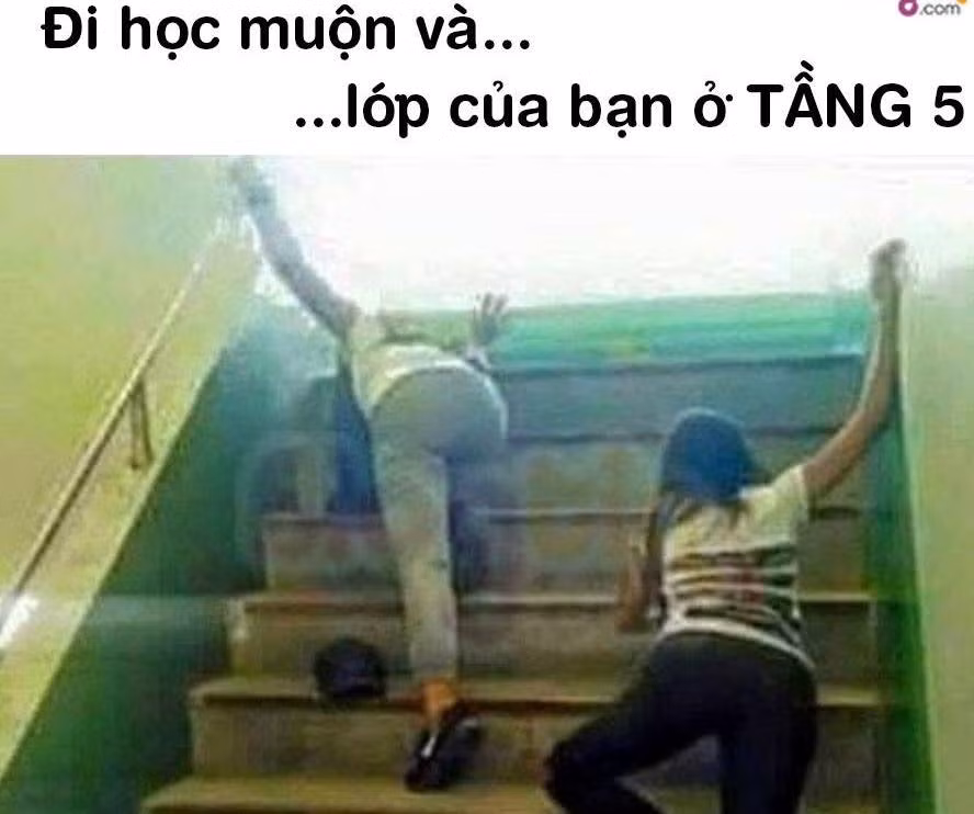 Sáng nay lại đi muộn rồi...