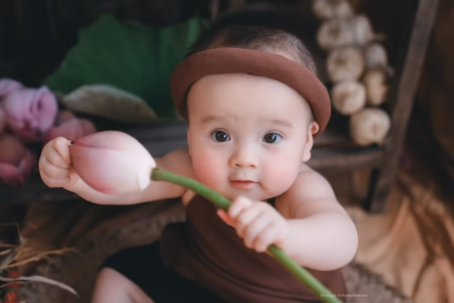 Bộ ảnh em bé bên hoa sen "đốn tim" ngàn người xem
