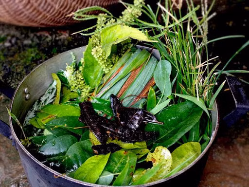 Nhiều người làm sạch nhà bằng nước đun từ các loại lá thơm. Nhiều người làm sạch nhà bằng nước đun từ các loại lá thơm.
