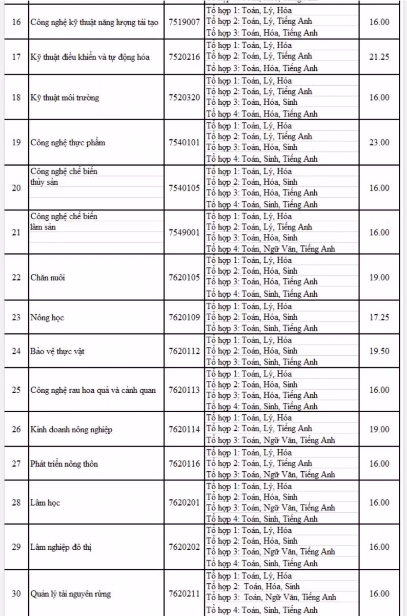 Điểm chuẩn trúng tuyển ĐH Nông Lâm TP.HCM: Cao nhất 24,50 điểm ảnh 2