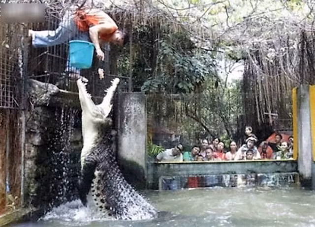 Những công việc khó đỡ khiến chúng ta phải "vò đầu" khi xem ảnh 5