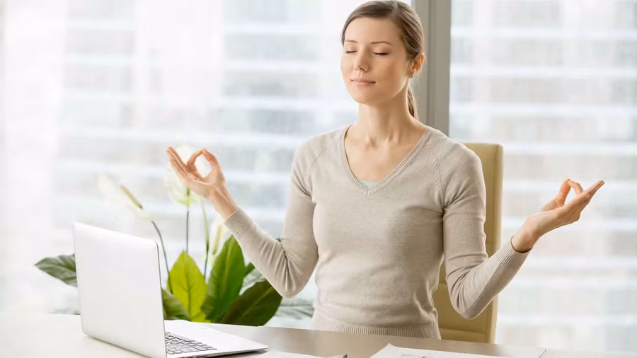 Cây xanh có khả năng hấp thụ tiếng ồn. (Ảnh: ITN).