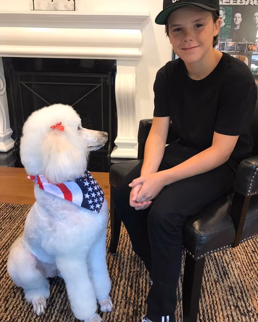 cruzbeckham_20634152_392996797781481_6611618895356755968_n