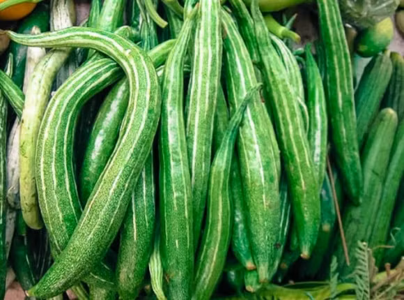 tác dụng quả lặc lè, quả lặc lè