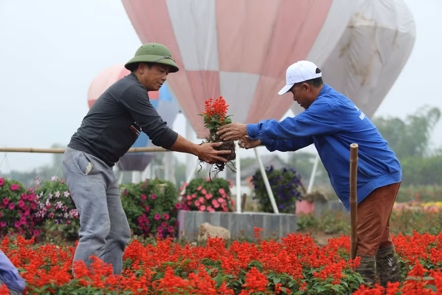 15 công nhân làm việc liên tục trong vòng 2 tháng để hoàn thiện chiếc Cup khổng lồ.