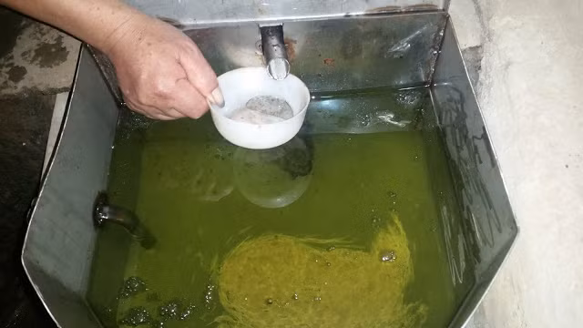 Sản phẩm tinh dầu hồi thô