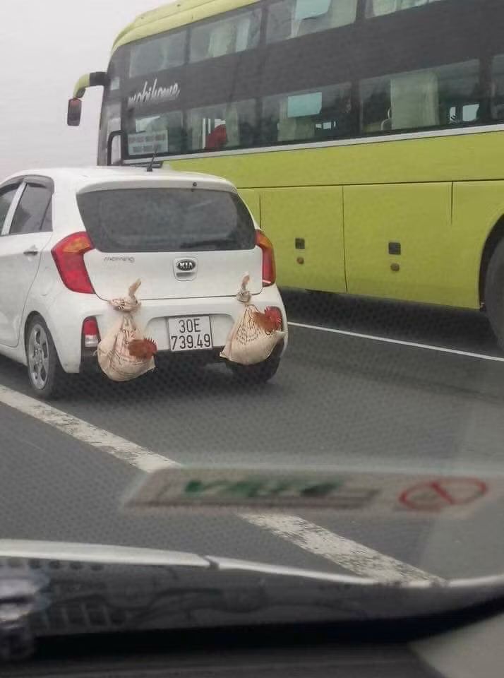 Cảm biến lùi