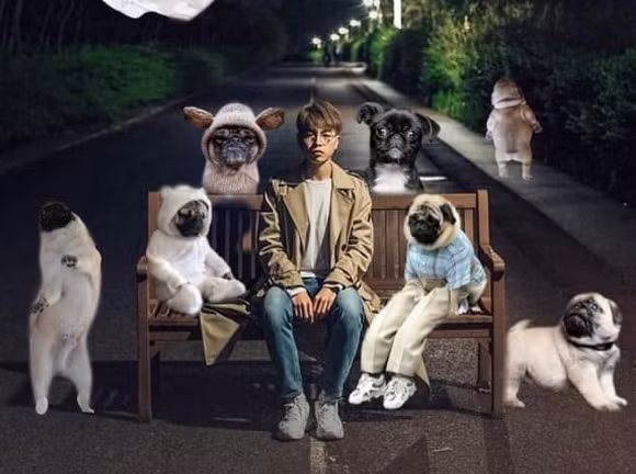 Phúc buồn, đừng lo đã có Pug. Phúc buồn, đừng lo đã có Pug.