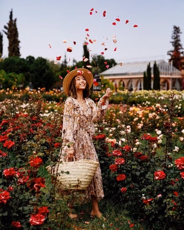 Instagram tuần qua