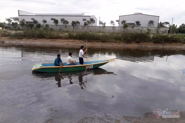 Trưởng thôn ở Hà Tĩnh kể phút tận mắt thấy cá sấu 2m nổi trên sông ảnh 2 Trưởng thôn ở Hà Tĩnh kể phút tận mắt thấy cá sấu 2m nổi trên sông