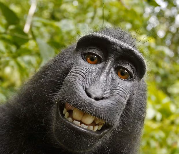 5 bức ảnh selfie được tìm kiếm nhiều nhất 2017 và câu chuyện điên rồ đằng sau đó ảnh 5