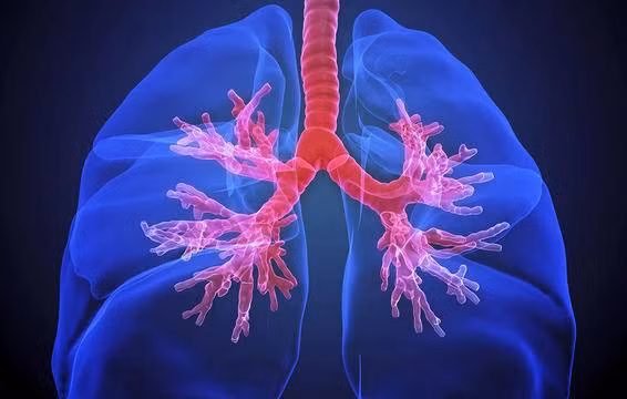 Móng tay bầm tím không rõ nguyên nhân, bác sĩ mãi không thể lý giải cho đến khi xét nghiệm ảnh 4 Móng tay bầm tím không rõ nguyên nhân, bác sĩ mãi không thể lý giải cho đến khi xét nghiệm-4