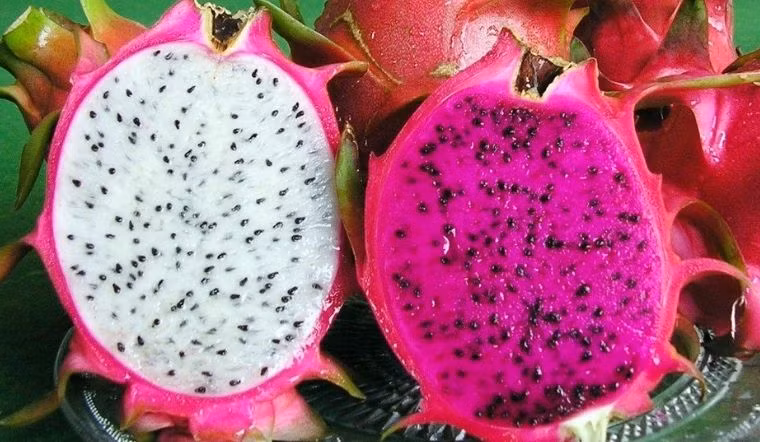 Người mê thanh long phải biết điều này trước khi ăn kẻo mang bệnh