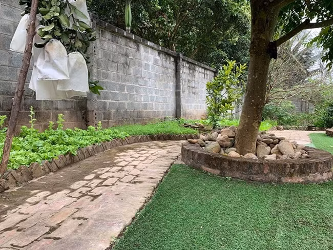 Choáng với cuộc sống giàu sang và thú chơi mô tô bạc tỷ của Hồng Đăng “Người phán xử” ảnh 22 Empty