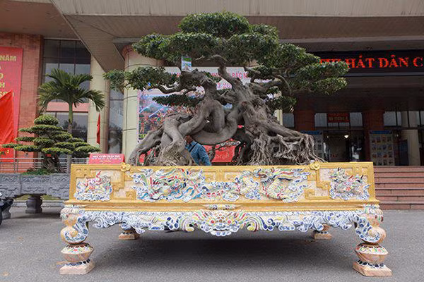 sanh co "ngọa hỏ tàng long" giá hon 32 tỷ dòng cua dai gia phu tho - 1