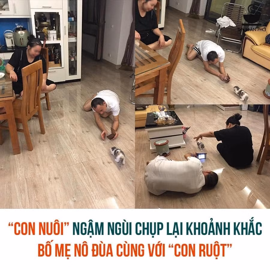 Vì dịch mà bố mẹ tôi rảnh đến mức này!