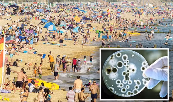 Gần 100 người đi bơi ở bãi biển bị nhiễm loại virus này: Lời cảnh báo dành cho cả những người đi bơi ở bể bơi - Ảnh 1.