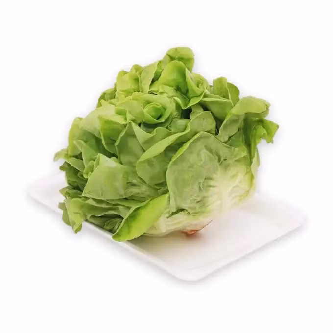Xà-lách-mỡ Xà-lách-mỡ