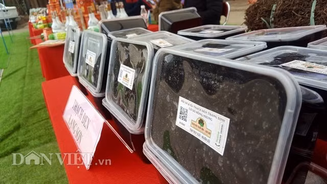 dac san xu lang hap dan phong vien tac nghiep thuong dinh my-trieu hinh anh 4