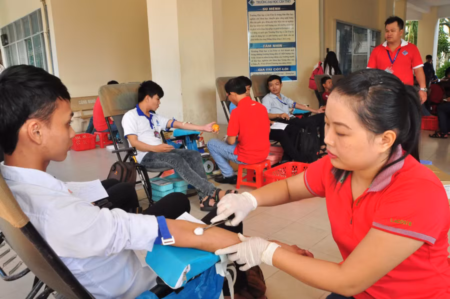 Cần Thơ tuyên dương sinh viên hiến máu tình nguyện
