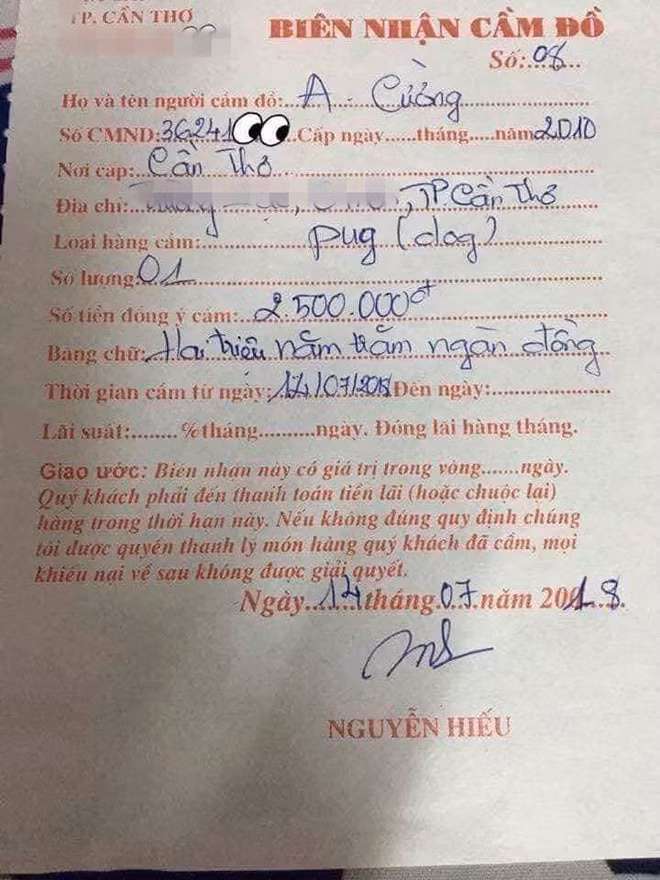 Giấy cầm đồ.