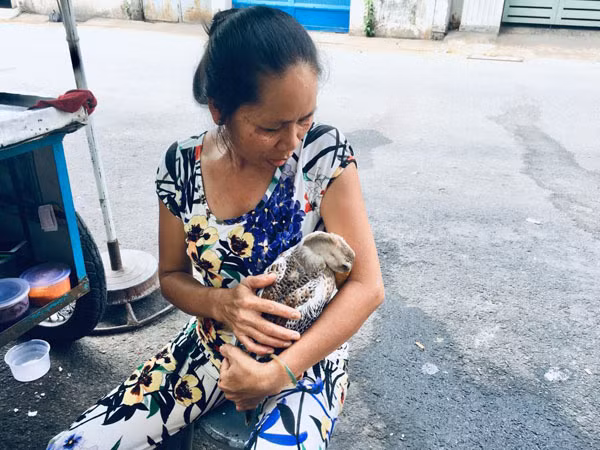 Hiếm muộn 24 năm, vợ chồng Sài Gòn gọi vịt là con, ăn ngủ cùng